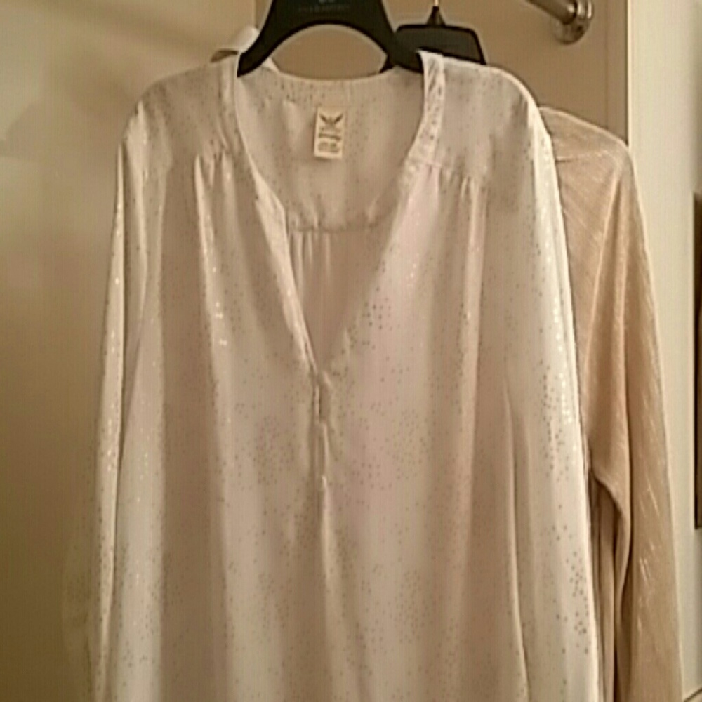 2 beautiful  blouses  for the price one